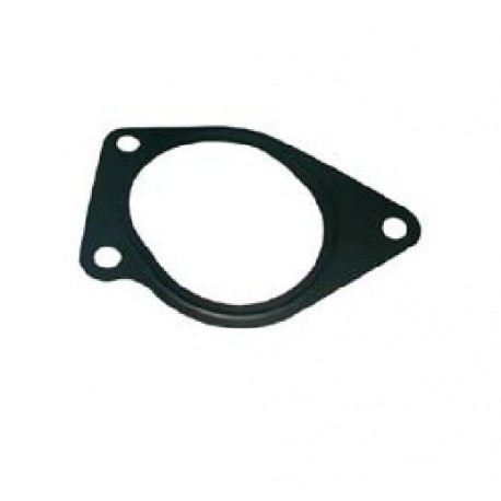 Volvo Water Pump Gasket