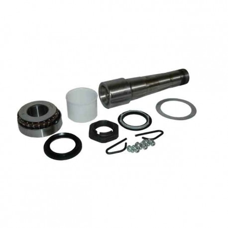 Volvo Renault King Pin Kit