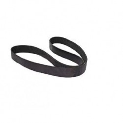 Scania Poly Belt - Inner