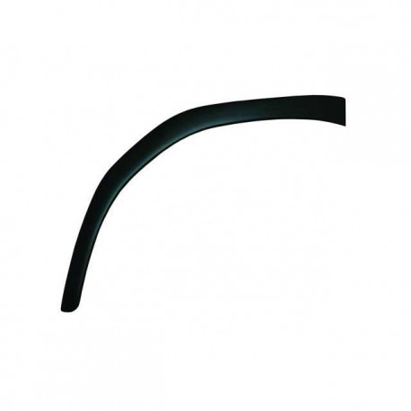 DAF Mudguard Trim CF LH