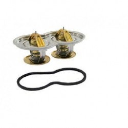 Scania Thermostat Kit 80 Deg