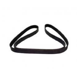DAF Multi Rib Belt