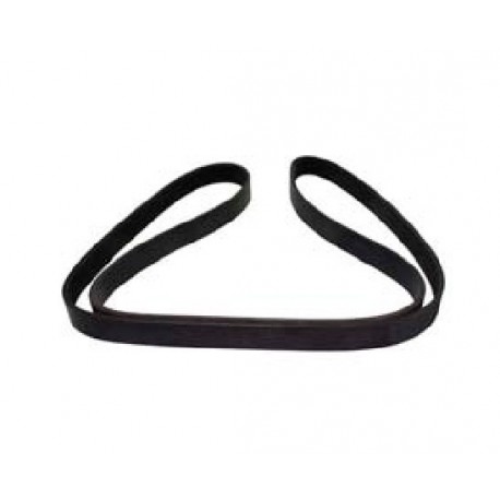 DAF Multi Rib Belt