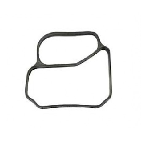 Renault Gasket - Coolant Pipe