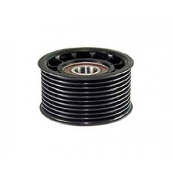 Renault Fan Belt Idler Roller, Grooved