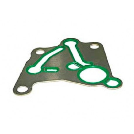 Renault Fuel Pump Gasket