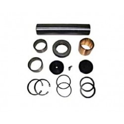 Renault King Pin Kit