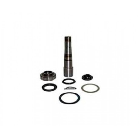 Renault King Pin Kit