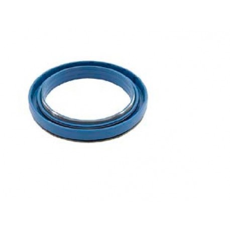 Scania Rear Hub Cap Seal