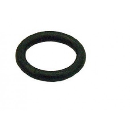 Scania Shackle Pin O-Ring, Front