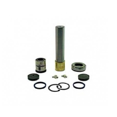 Renault King Pin Kit Complete With Bearing