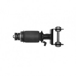 Renault Cab Air Bag / Shock Absorber Rear