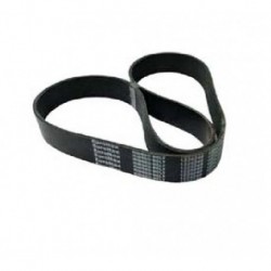 Volvo Alternator Belt FH12